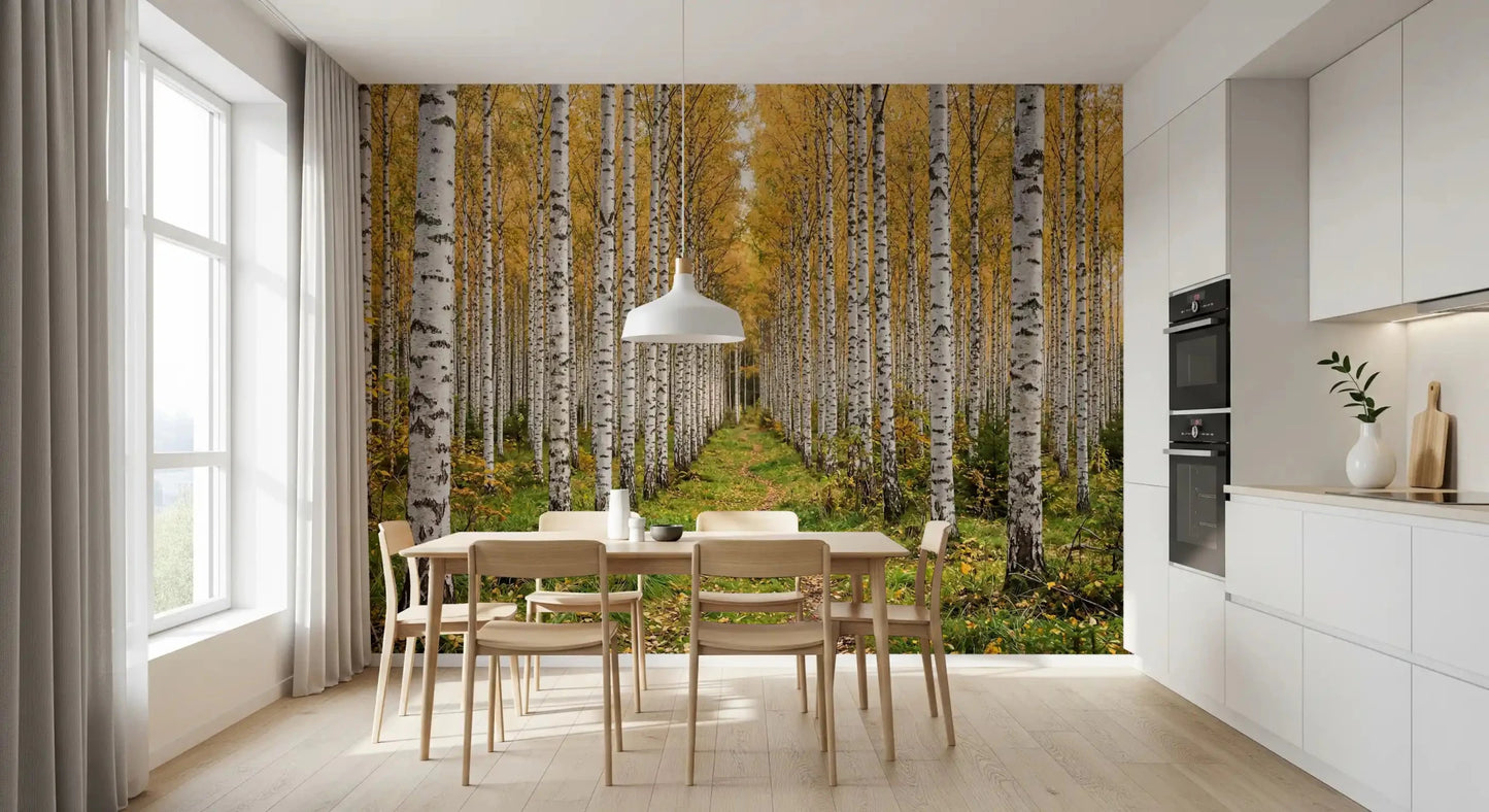 Autumn forest view in Autumnal Birch Haven wall mural, GD9134