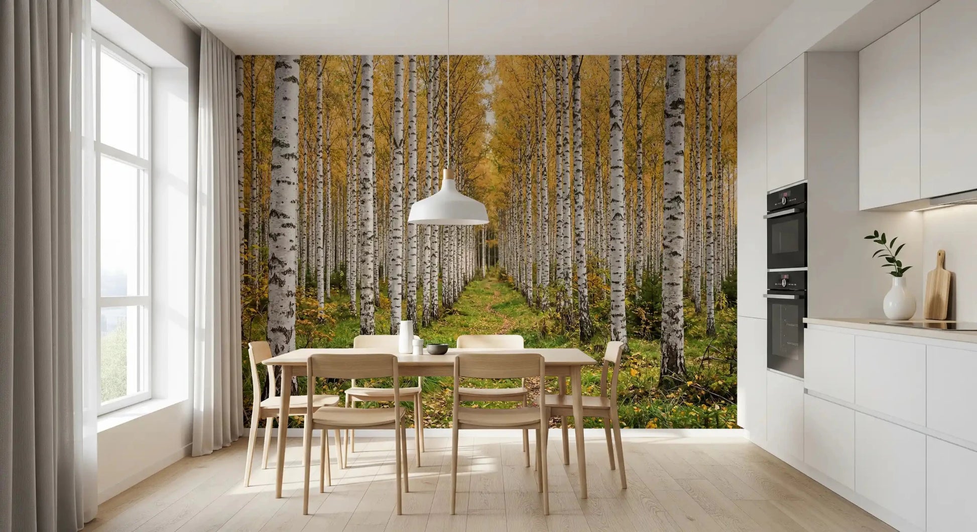 Autumn forest view in Autumnal Birch Haven wall mural, GD9134