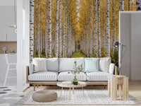 Vertical birch trunks in Autumnal Birch Haven wall mural, GD9134