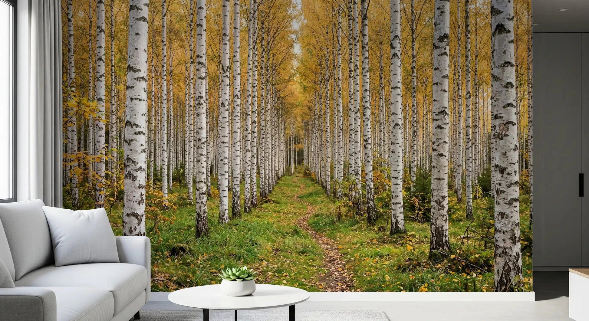 Golden leaves fill Autumnal Birch Haven wall mural design, GD9134