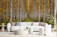 Living room with Autumnal Birch Haven wall mural forest view, GD9134