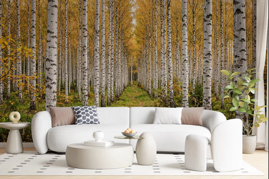 Living room with Autumnal Birch Haven wall mural forest view