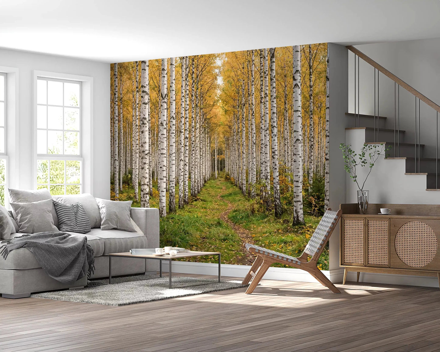White birch trees in Autumnal Birch Haven wall mural art, GD9134
