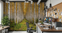 Woodland path in Autumnal Birch Haven wall mural scene, GD9134