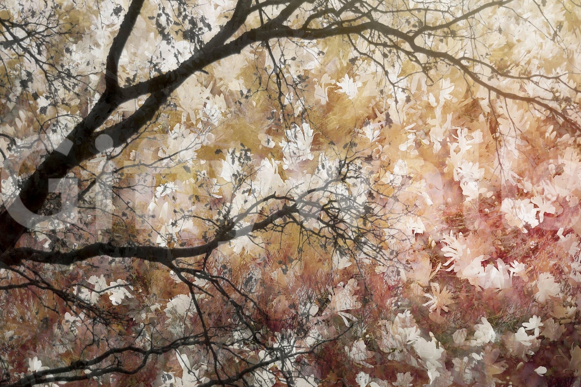 A high-quality minimalist tree wall mural for walls.