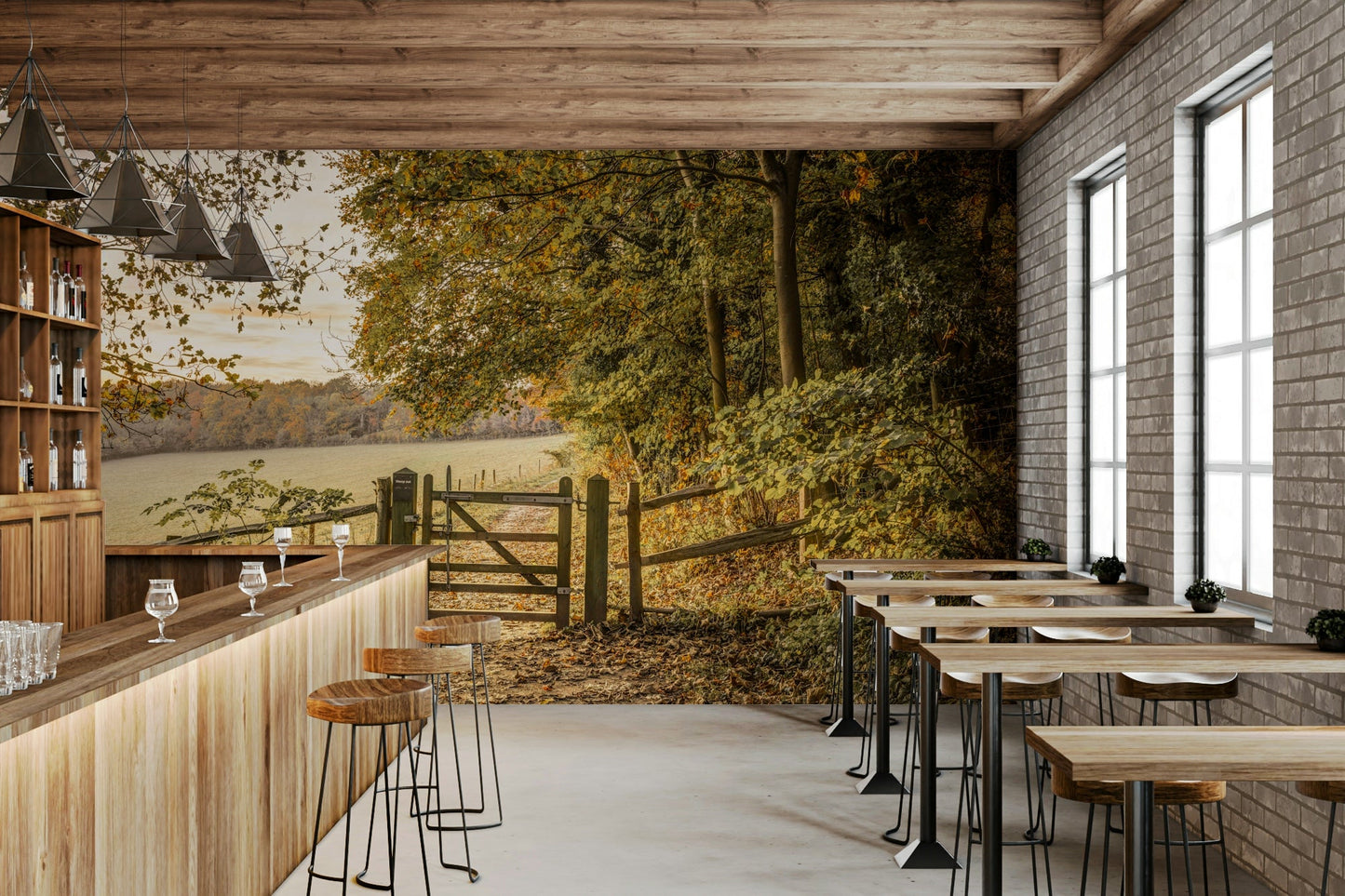 Trees with fiery red, orange, and gold leaves.

