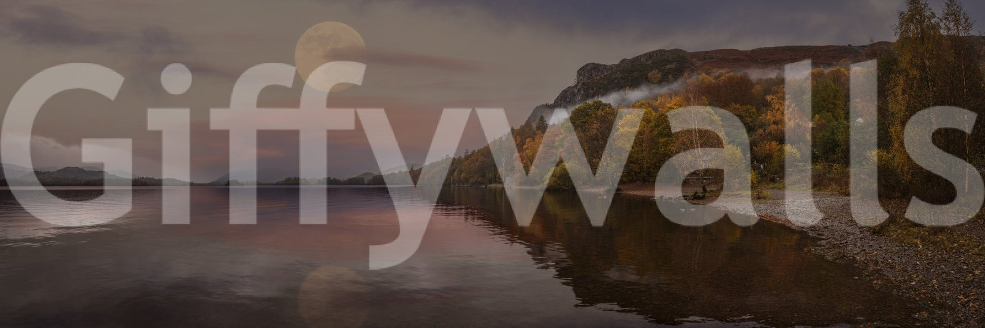 Artistic night nature wallpaper mural for a professional studio feature wall.