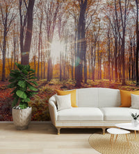 Rustic autumn-themed wallpaper for walls
