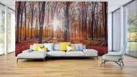 Cozy fall tones wall mural
