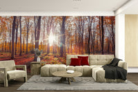 Warm yellow and orange wall mural
