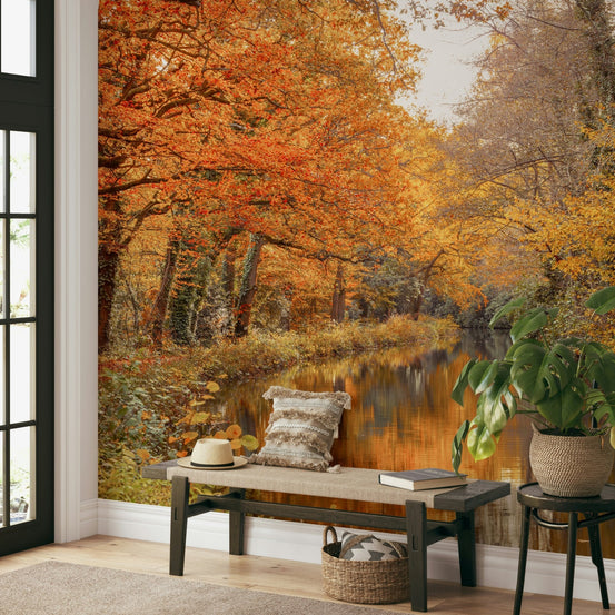 Autumnal River Serenity wall mural showing golden trees reflected in a calm river GD5008
