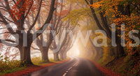 High resolution wall mural showing a sunlit road in the fall season.
