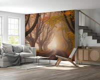 Detailed tree silhouettes in a golden autumn forest wall mural.