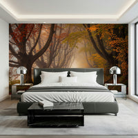 Autumnal road serenity wallpaper showing a scenic seasonal landscape.