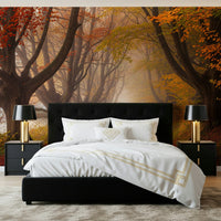 Minimalist forest path wallpaper for a serene autumn-themed room.