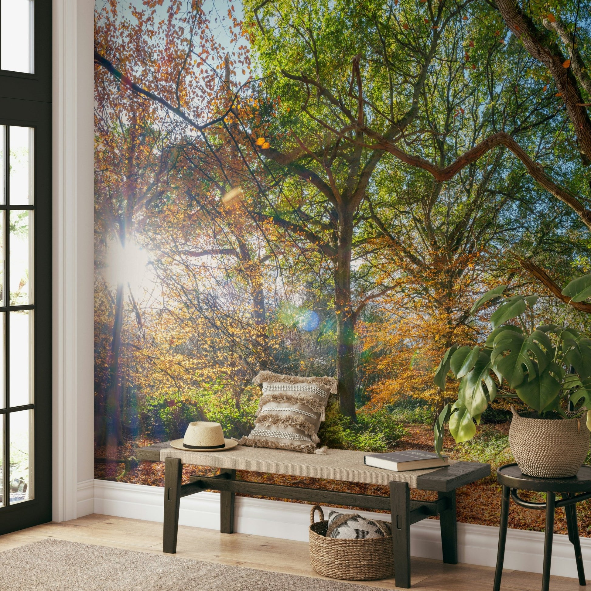Golden autumn forest wall mural

