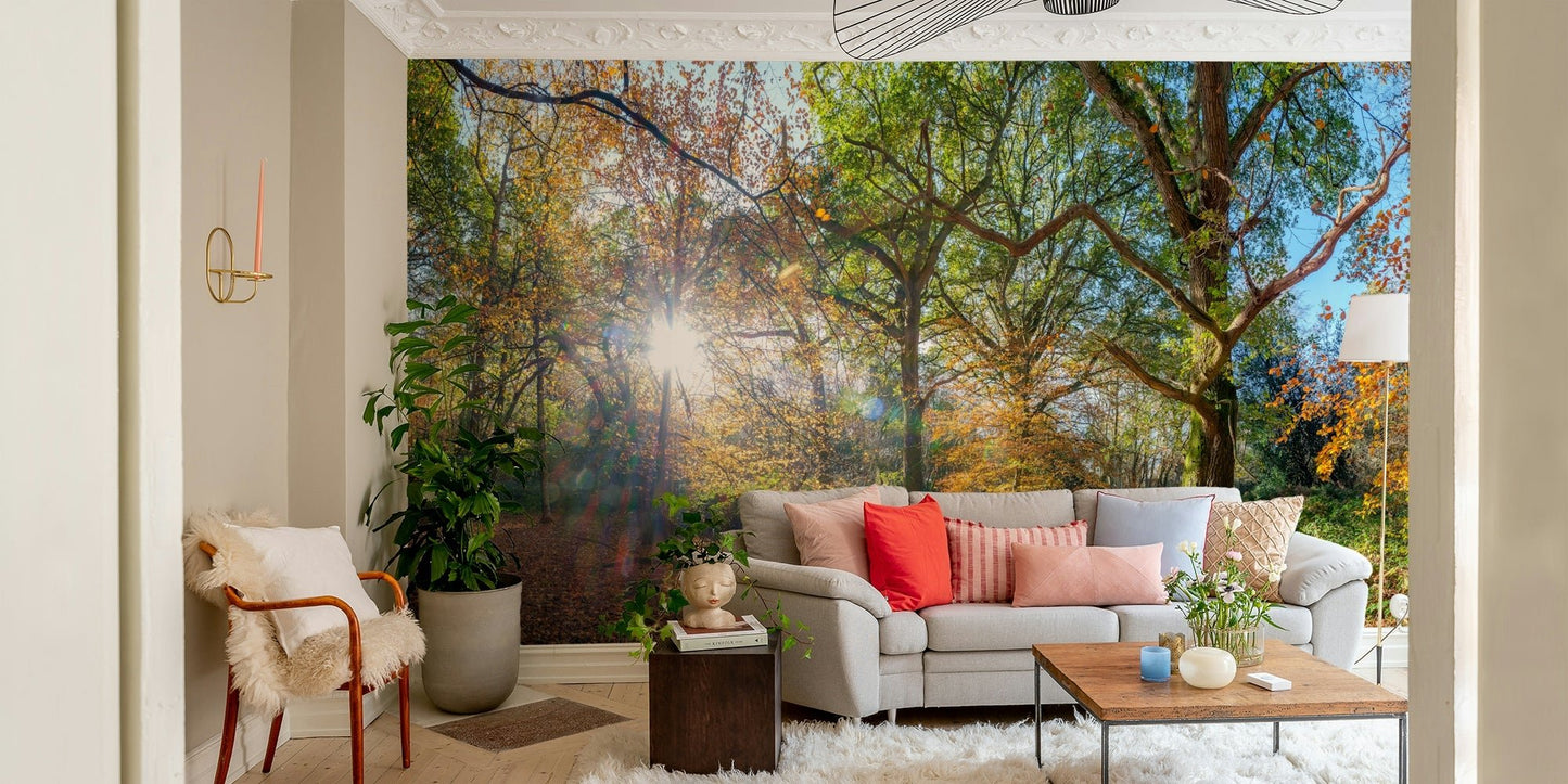 Forest mural with autumn sunlight

