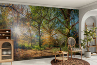 Trees in sunlight autumn mural design

