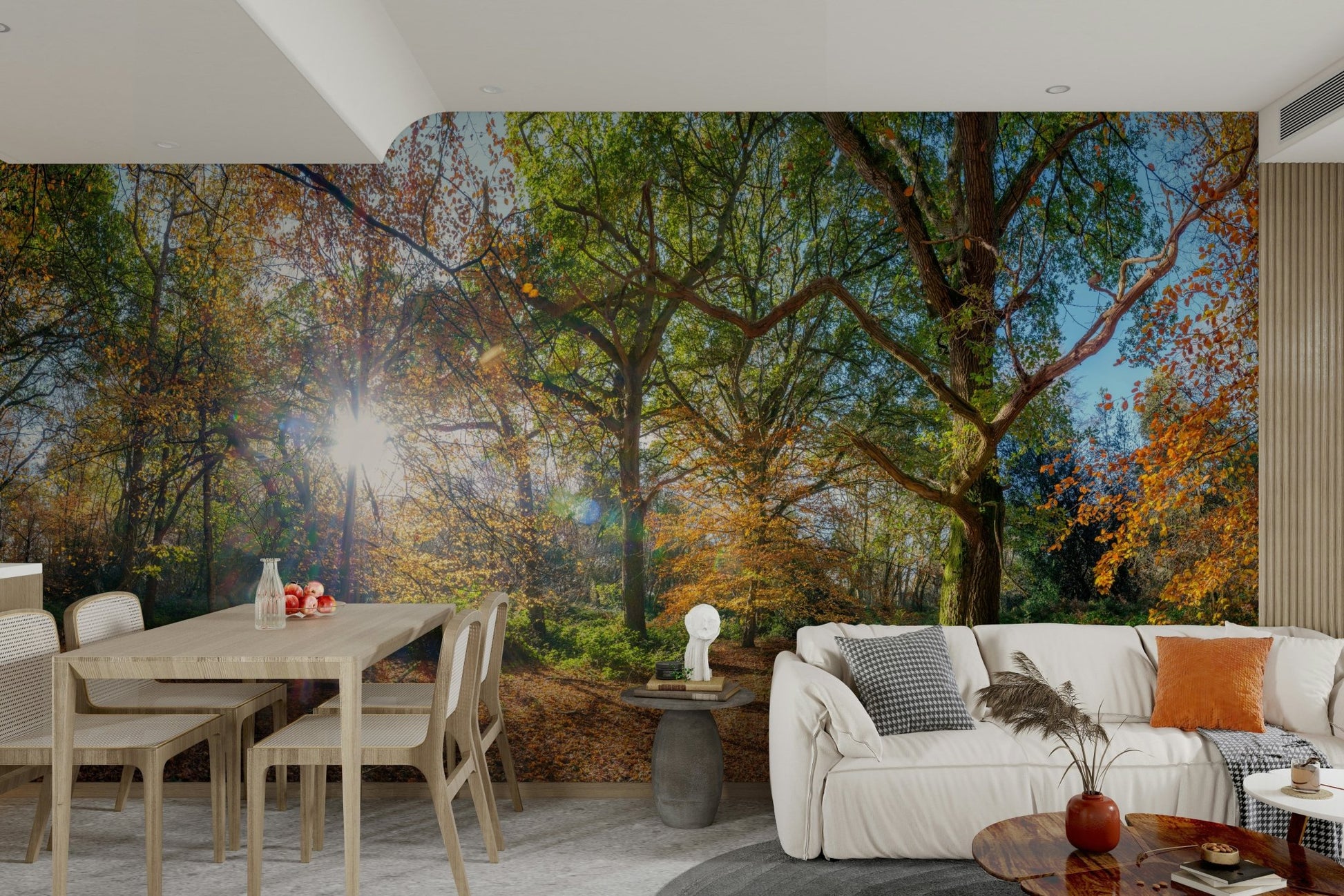 Warm sunlit forest wallpaper for walls

