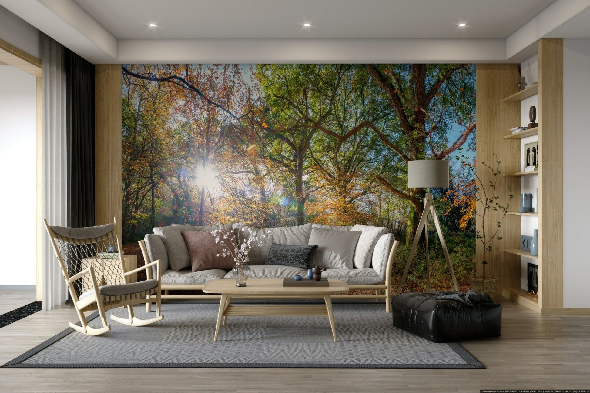 Peaceful woodland scene with sunrays

