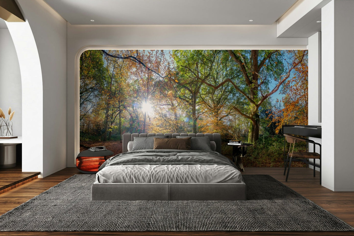 Autumn sunlight streaming through trees

