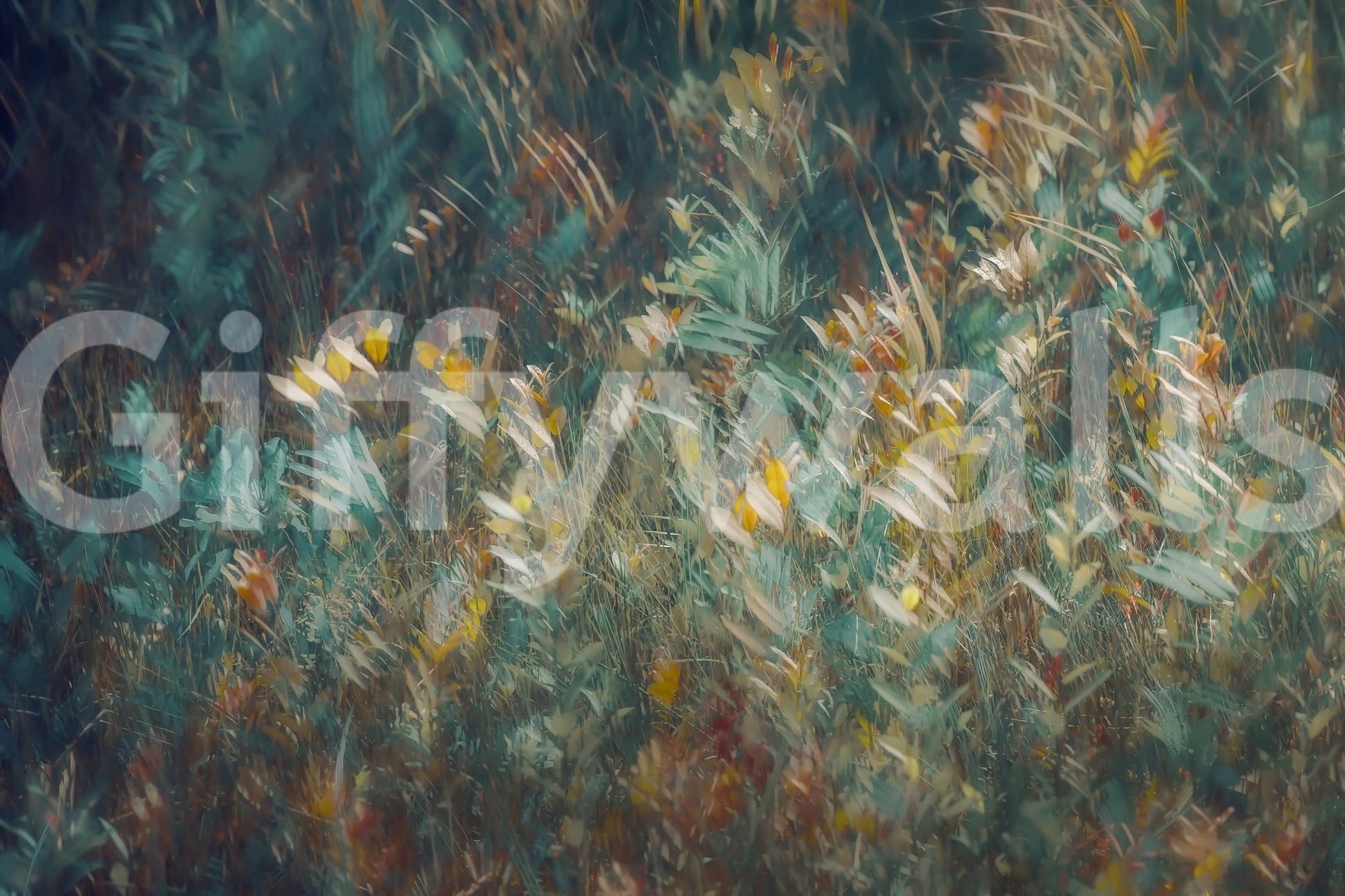 A high-quality minimalist tree wall mural for walls.
