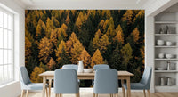 Autumnal Woods Symphony wall mural with detailed woodland texture, GD9251