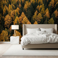 Bedroom wall featuring Autumnal Woods Symphony wall mural fall trees, GD9251