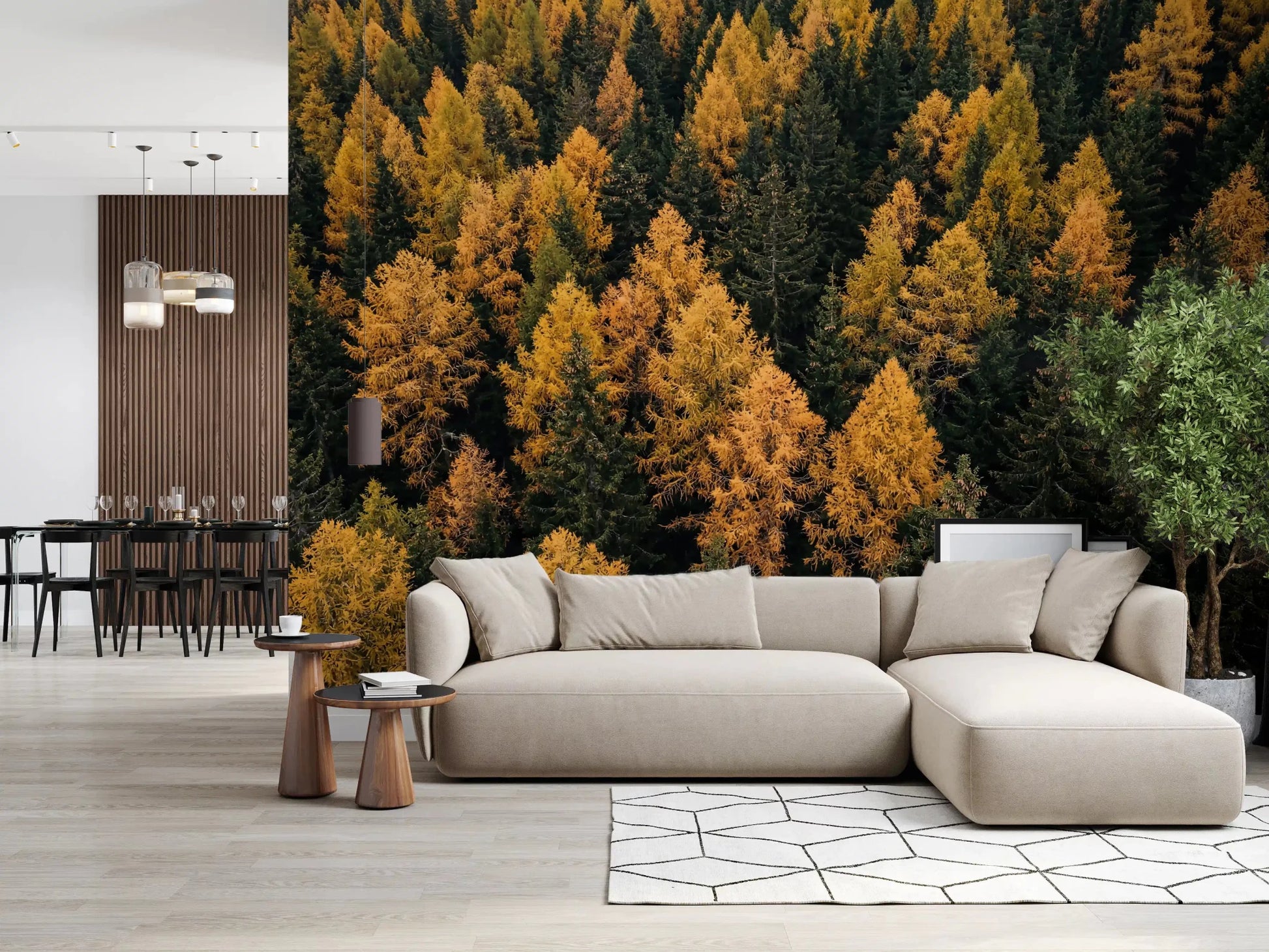 Forest canopy wall mural with Autumnal Woods Symphony golden trees, GD9251