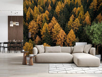 Forest canopy wall mural with Autumnal Woods Symphony golden trees, GD9251