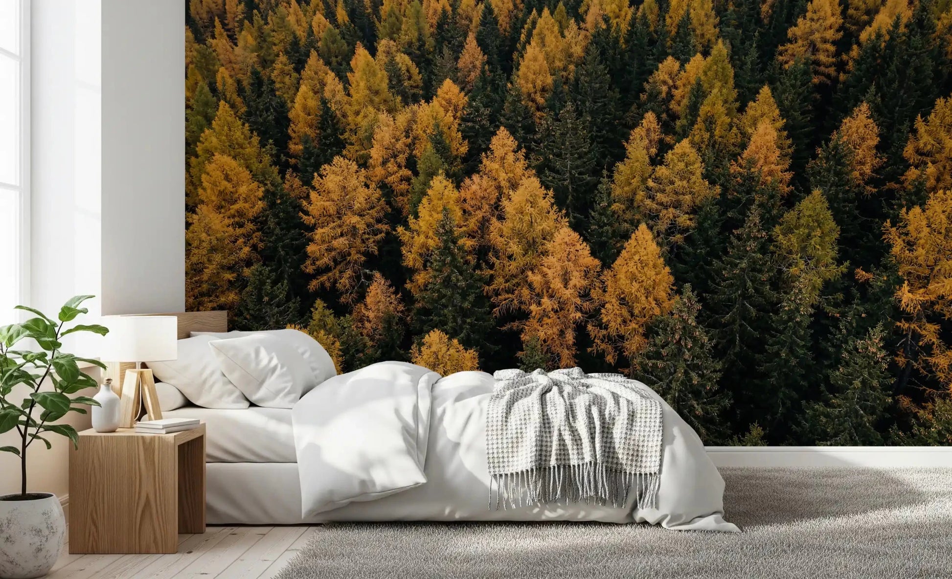 Fall forest wall mural with Autumnal Woods Symphony aerial landscape, GD9251