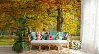 Autumn's Avenues Wall Mural applied in a cozy reading corner with a leather armchair.