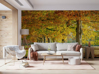 Autumn's Avenues Wall Mural in a spacious living room with velvet sofas and warm lamps.