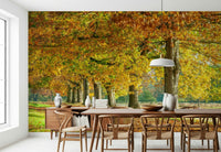 Golden autumn scene mural used as a backdrop for a minimalist lounge furniture set.