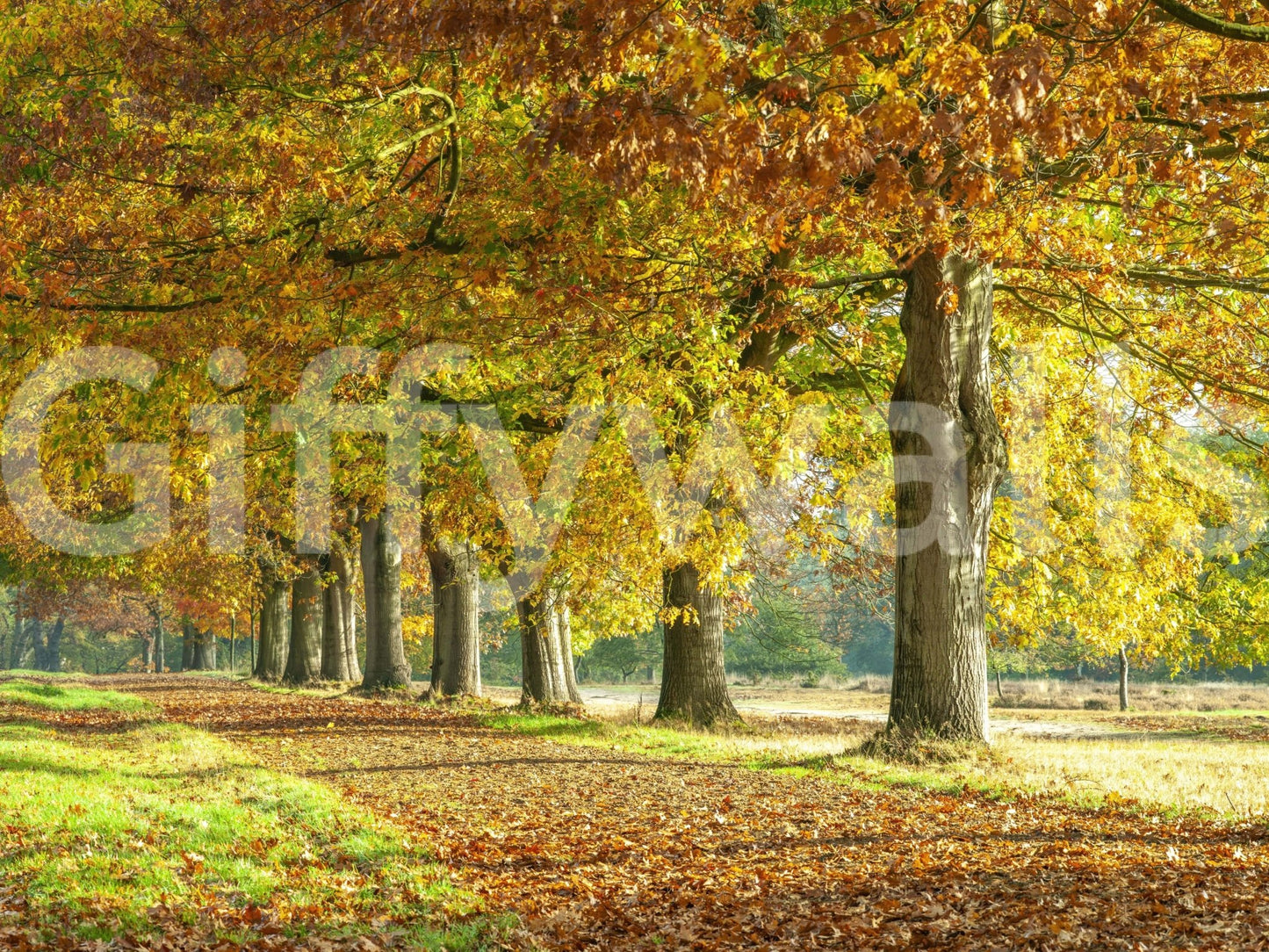 Stylish feature wall for an entryway using a detailed landscape mural with trees.
