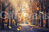 Autumn's Golden Path wall mural with sunlit forest trail and drifting fall leaves