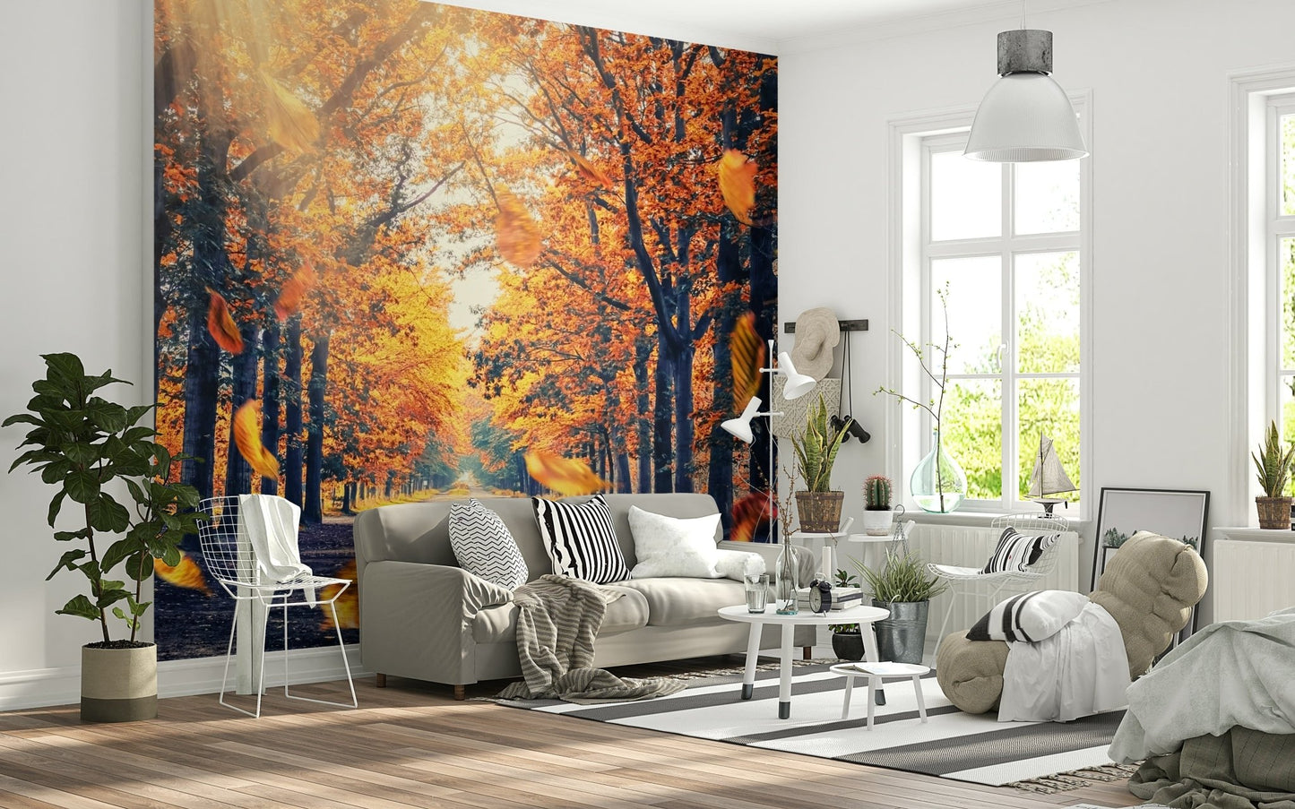 Autumn's Golden Path Wall Mural brings sunlit woodland depth into this bright sitting space