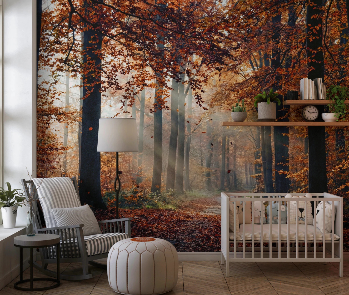 Autumn's Light Wall Mural with sun rays in a forest.