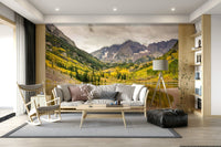 Mirror reflection wallpaper showing a quiet lake and vibrant seasonal woods.