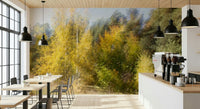 Abstract nature wallpaper featuring vertical streaks of orange and gold foliage.