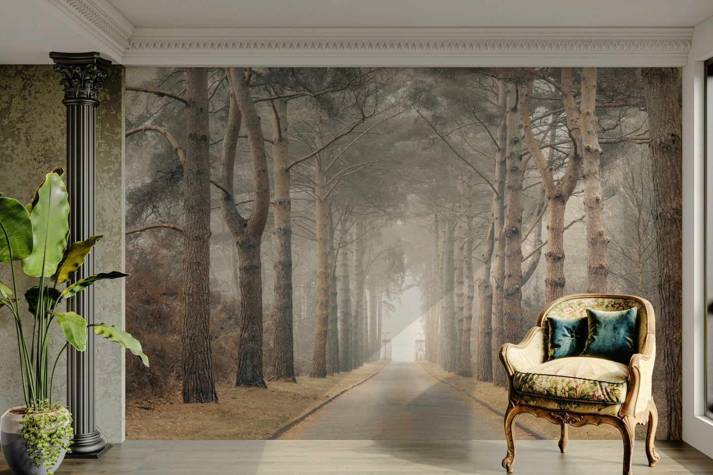 Nature wallpaper featuring towering forest trees

