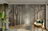Nature wallpaper featuring towering forest trees

