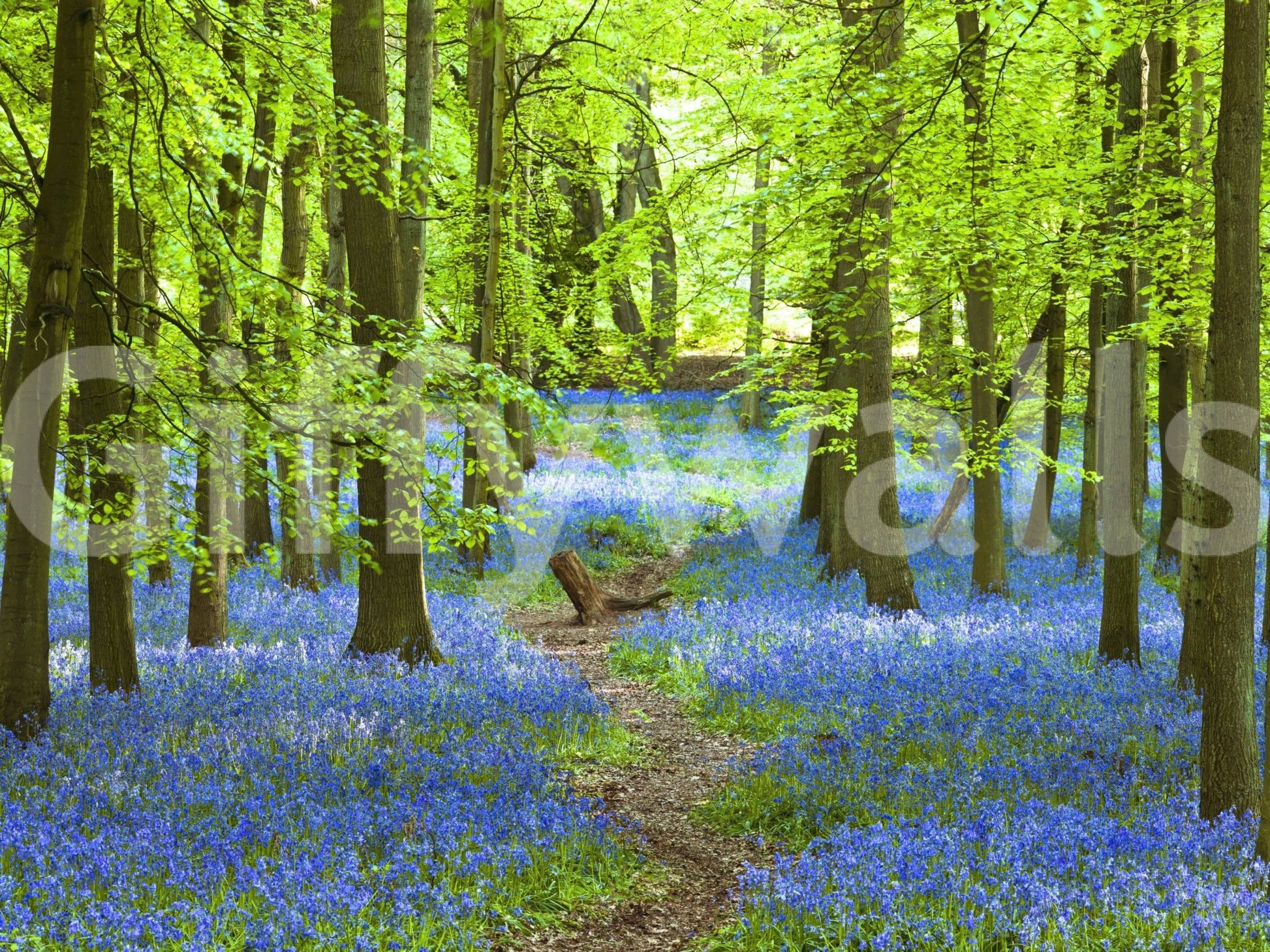 Linear architectural wallpaper for a clean and airy balcony wall mural.