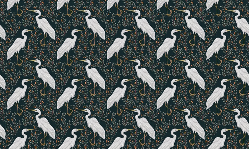 White Heron Cranberry Plant Dark Wallpaper