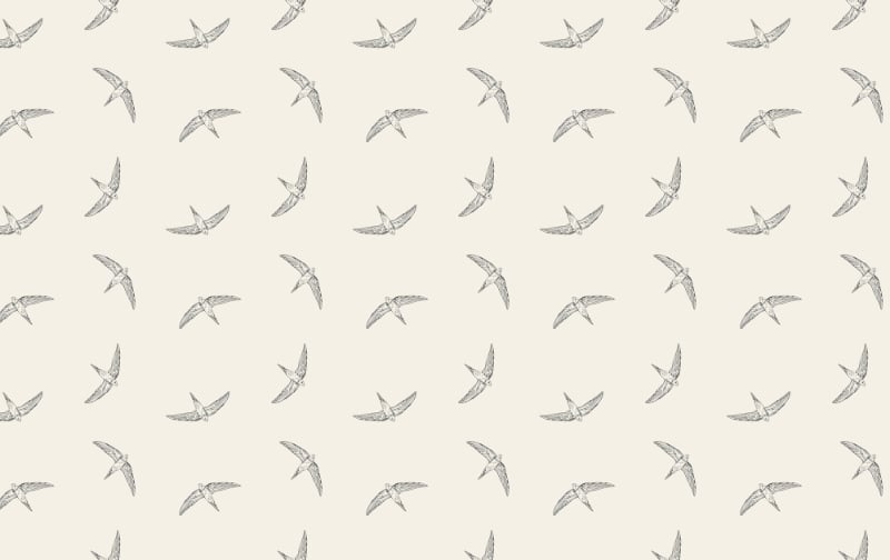 Beige Flying Swallow Bird Wallpaper