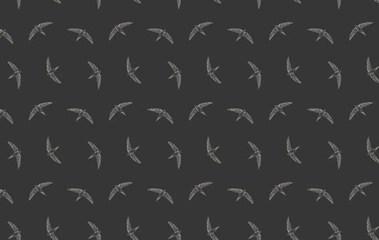 Mesmerizing Flying Swallow Bird Black Wallpaper