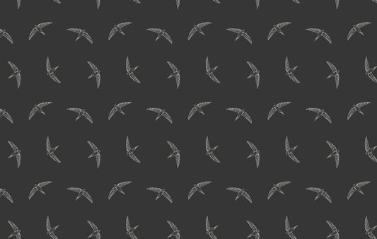 Mesmerizing Flying Swallow Bird Black Wallpaper