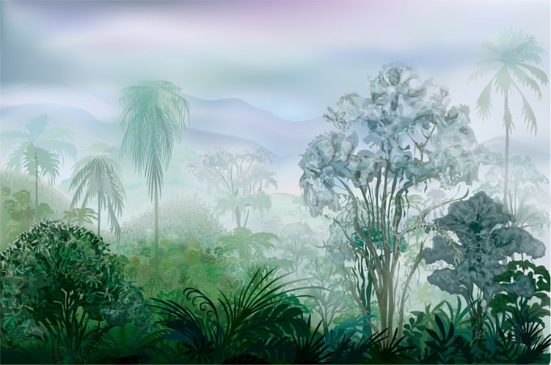 Tropical Rainforest Jungle Wallpaper in your room — zoomed