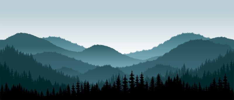 Dark Forest Mountains Wallpaper Murals in your room — zoomed