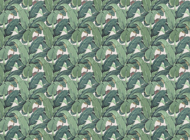 Green Tropical Garden Wallpaper